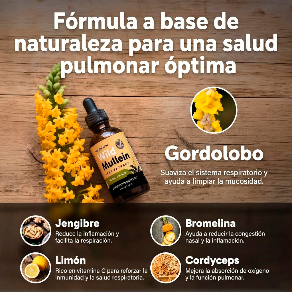Nuevas Gotas de Verbasco de Máxima Potencia para Fumadores | Pulmora™