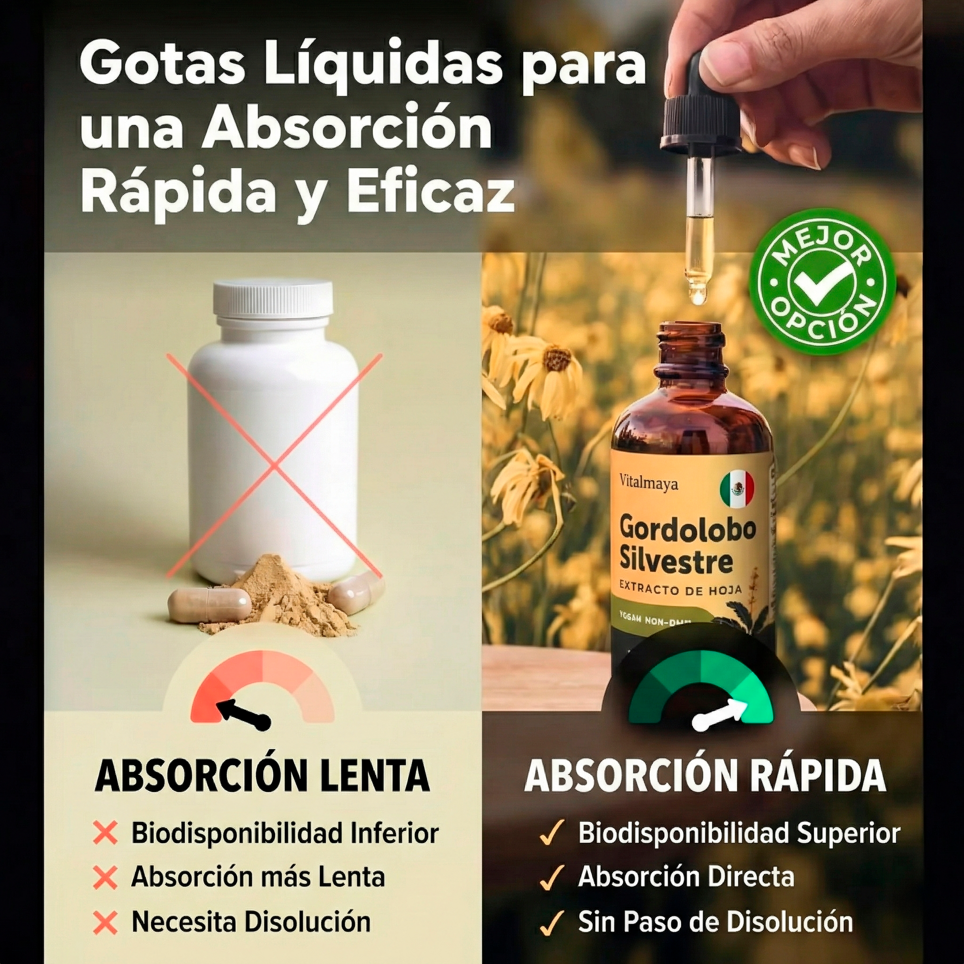 Nuevas Gotas de Gordolobo de Máxima Potencia para Fumadores | Vitalmaya™