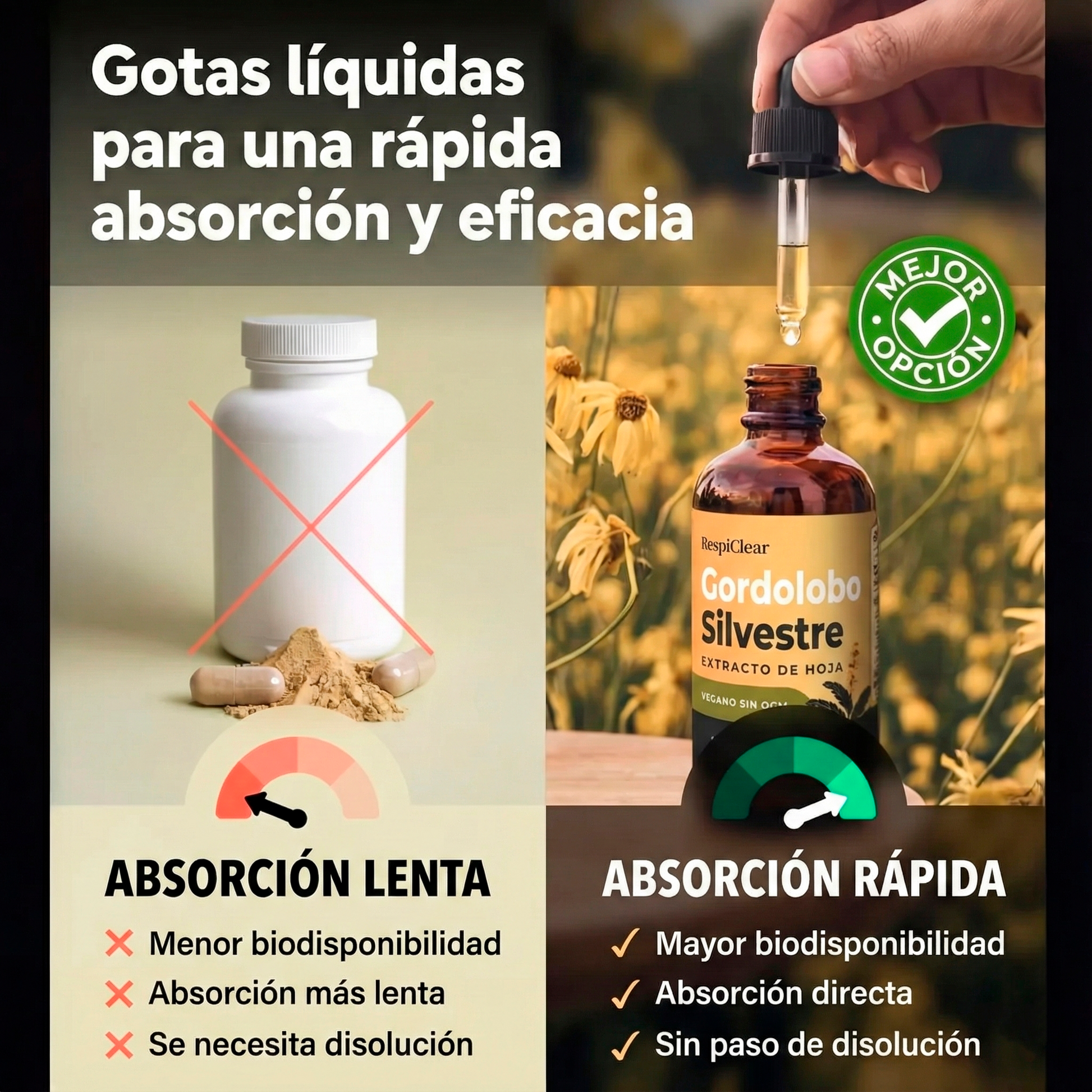 Nuevas Gotas de Verbasco de Máxima Potencia para Fumadores | Pulmora™